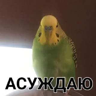 Стикер ТОКСИЧНЫЙ ЯД - 3