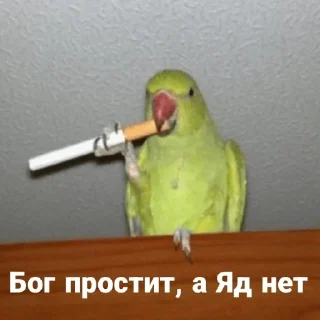Стикер ТОКСИЧНЫЙ ЯД - 5