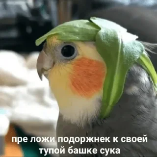 Стикер ТОКСИЧНЫЙ ЯД - 4