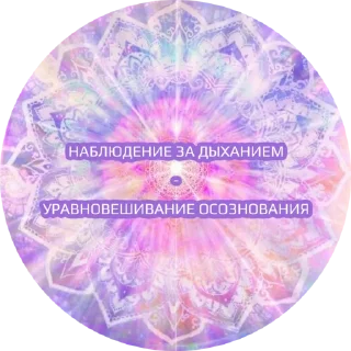 Sticker TONKOE TELO - 5