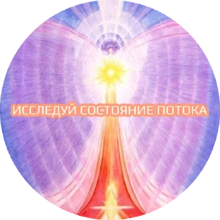 Sticker TONKOE TELO - 9