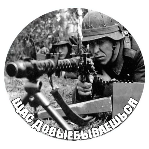 оружие СМС винтовка