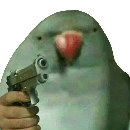 weapon handgun person