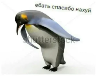 Стикер Больше стикеров 👉🏻 @stickertg4 - 6