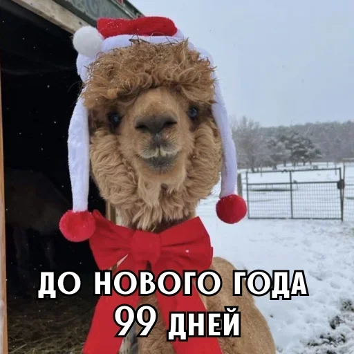 Sticker TOtGgQppFve_by_stickers_stealer_bot - 1