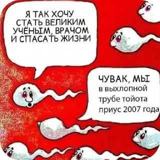 Стикер Больше стиков тут: @stikery4 - 10