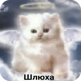 Стикер Больше стиков тут: @stikery4 - 3