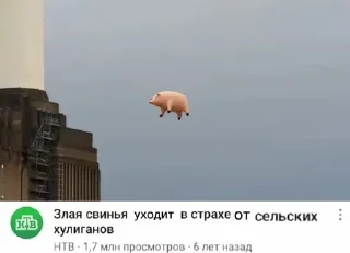 Стикер Больше стиков тут: @stikery4 - 6