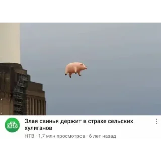 Стикер Больше стиков тут: @stikery4 - 11