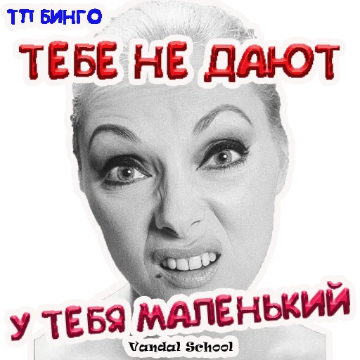 ТП Бинго Vandal School - text