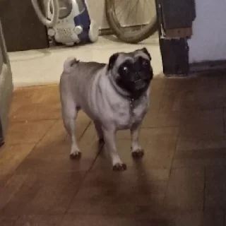 Sticker TRATATRAHER - 4