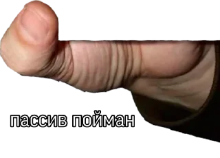 Sticker Стики 1579 из @Anonymnyi_chat_bot - 9