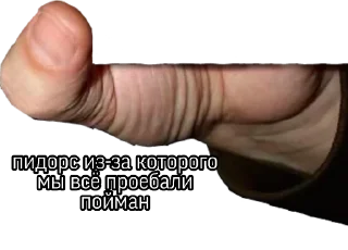 Sticker Стики 1579 из @Anonymnyi_chat_bot - 11