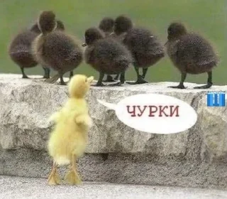 Sticker @sticksbb <— больше стиков💓💘💞 - 2