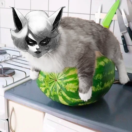 Sticker TRUSTREHAB - 1