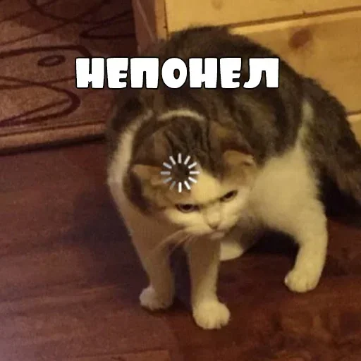 Стикер TRsTdBhJnpY_by_stickers_stealer_bot - 1