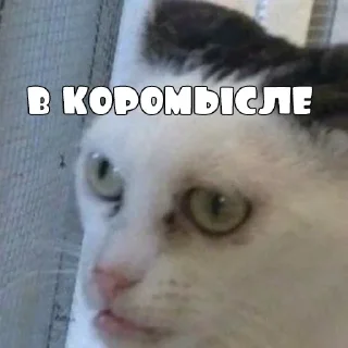 Sticker Больше стикеров: @sticerru - 5
