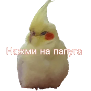 Sticker Больше стиков тут: @stikery4 - 6