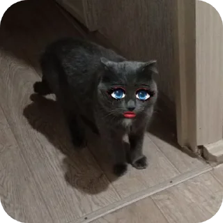 Стикер пєрдуньї - 4