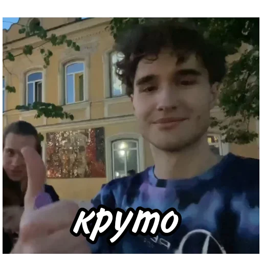 Sticker твич и другие - 11