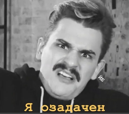 human face jaw person