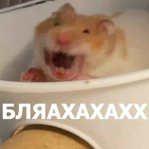 Больше стиков тут: @stikery4 - 