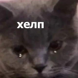 Sticker Больше стиков тут: @stikery4 - 11