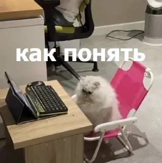 Sticker Больше стиков тут: @stikery4 - 3