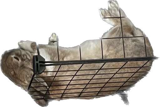 Стикер Tabakiny - 1