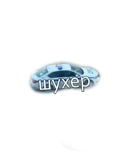 Sticker TACHKIMOTO75 - 10