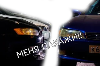 Sticker TACHKIMOTO75 - 3