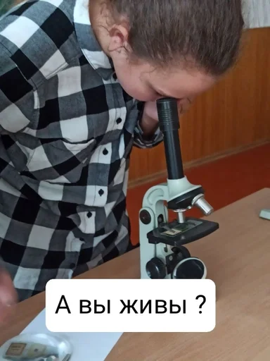 Стикер TadsHymenBeef :: @fStikBot - 8