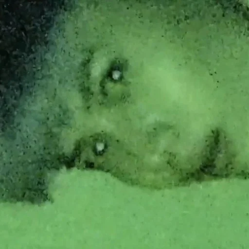 Sticker TaemMinKeyJongNew - 1