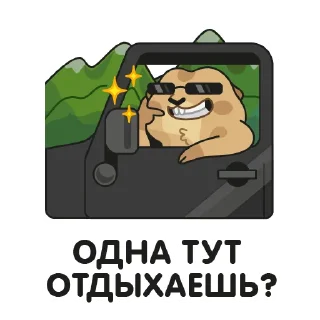 Стикер Кавказский суслик - 11