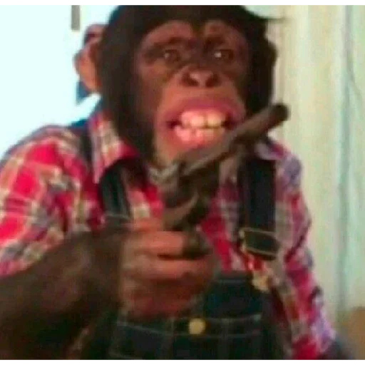 Стикер Taiju_News_by_TgEmodziBot - 1