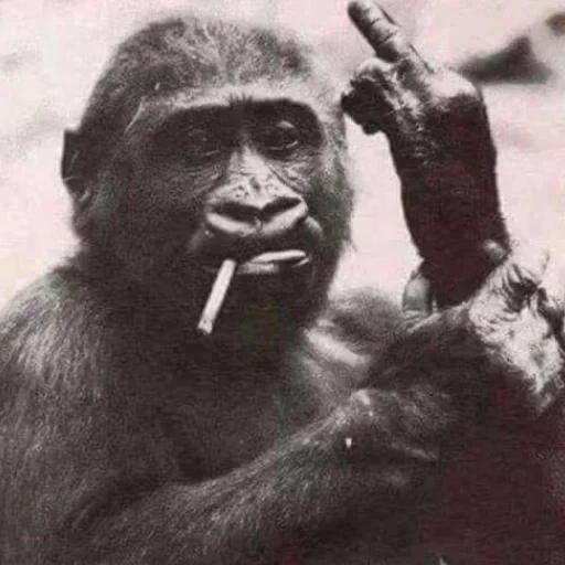 Стикер Taiju_News_by_TgEmodziBot - 1