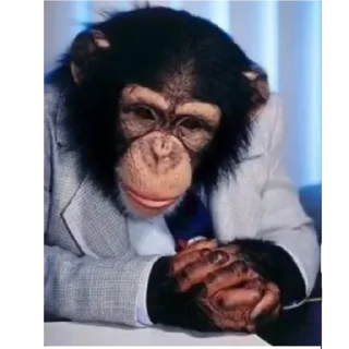 Стикер Fandom ST
@FuqBoom_Original
@TaijuNews @TgEmodziBot - 11