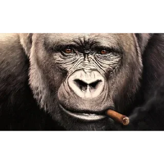 Стикер Fandom ST
@FuqBoom_Original
@TaijuNews @TgEmodziBot - 10