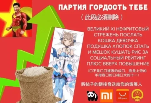 Стикер Social Credit - 11