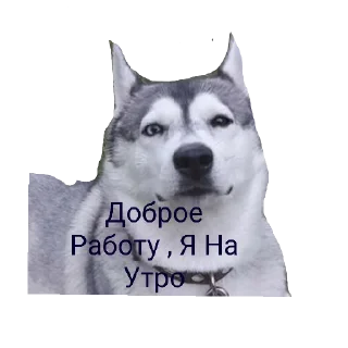 Стикер Тайник - 1