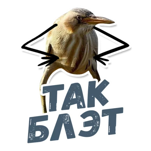animal text bird