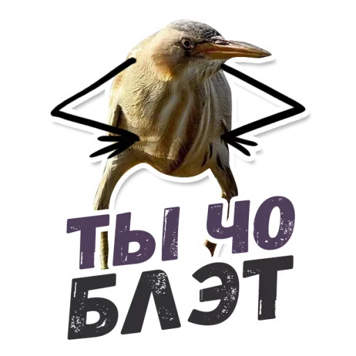 СМС клюв животное