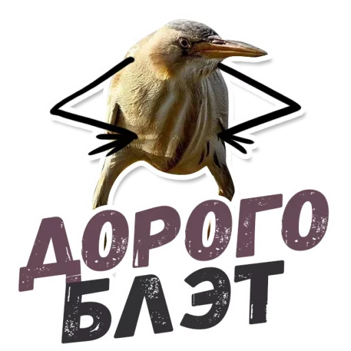 животное клюв СМС