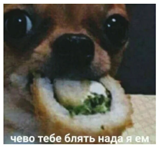 собака пища фаст-фуд