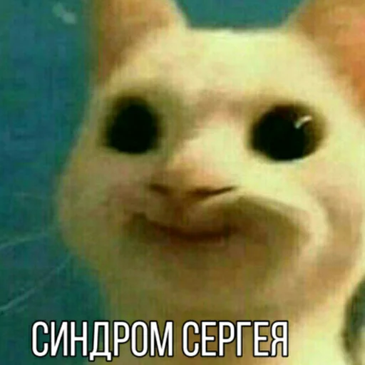 млекопитающее животное СМС