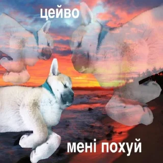 Sticker Та й таке - 7