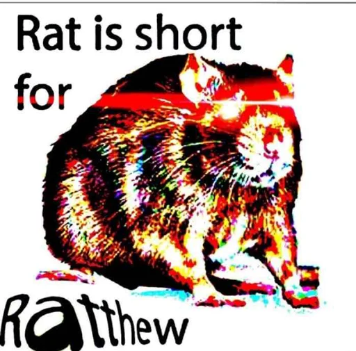 Sticker Take this rat! - 10