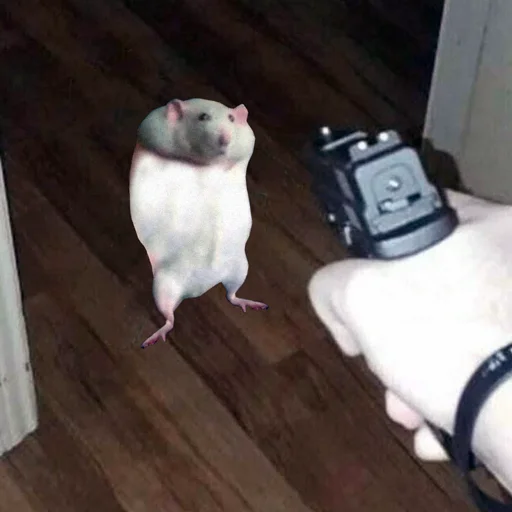 Sticker Take this rat! - 6