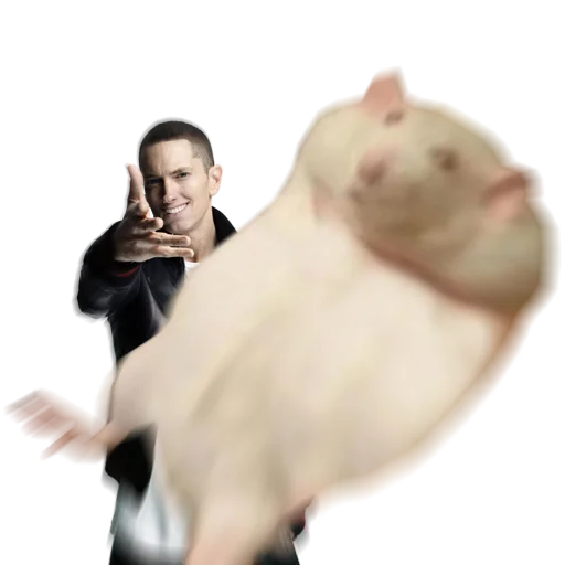 Sticker Take this rat! - 5