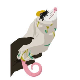 рисование иллюстрация клипарт